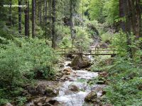 Rakousko - Medvědí soutěska