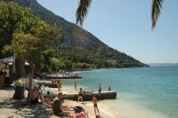 Gradac 2009