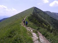 Turist bus Malá Fatra